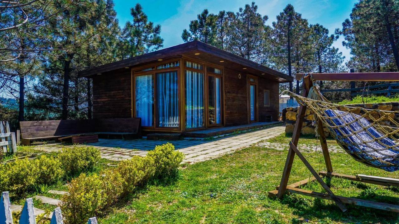 Sahil Kamp Istanbul Hotel 아그바 외부 사진